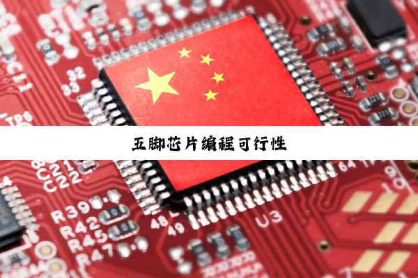 五脚芯片编程可行性