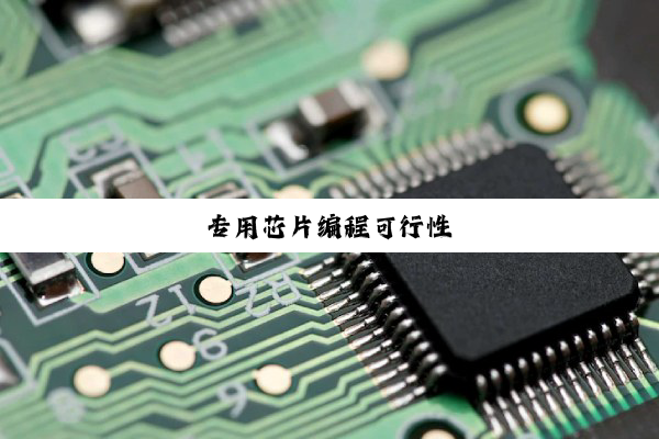 专用芯片编程可行性